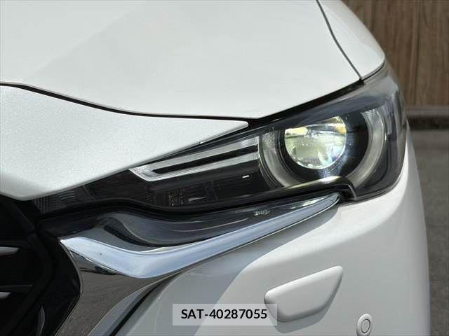 Mazda CX-8 2017-11 8098797-14