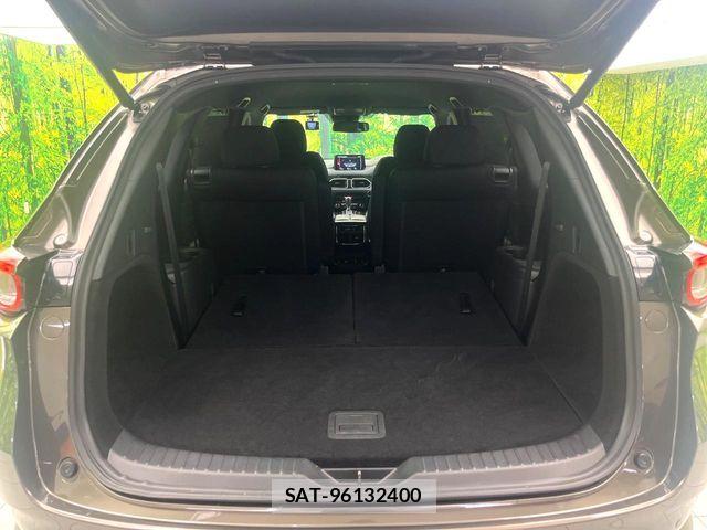 Mazda CX-8 2020-08 8129688-10