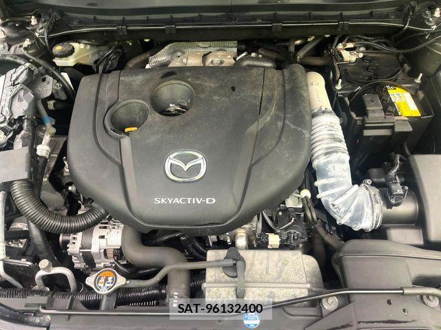 Mazda CX-8 2020-08 8129688-18