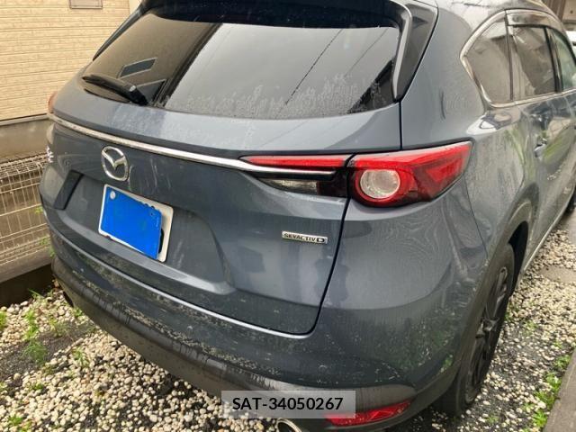 Mazda CX-8 2021-07 8129681-3