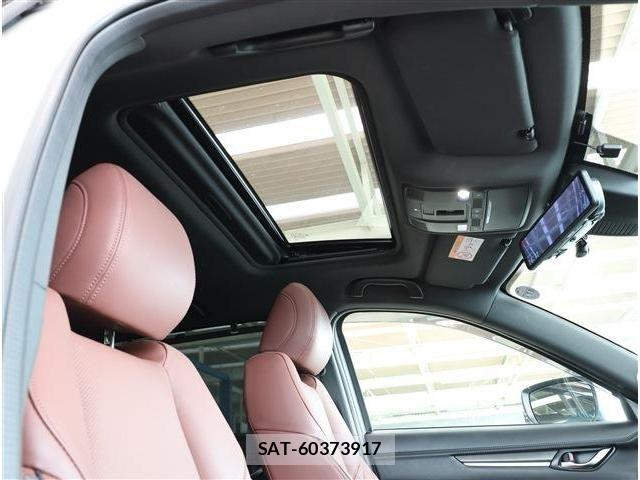 Mazda CX-8 2022-01 8207203-6