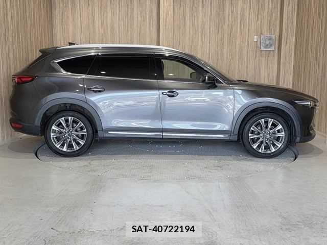 Mazda CX-8 2018-12 8207208-18