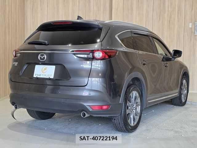 Mazda CX-8 2018-12 8207208-19