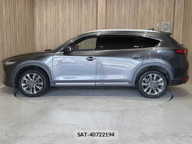 Mazda CX-8 2018-12 8207208-22