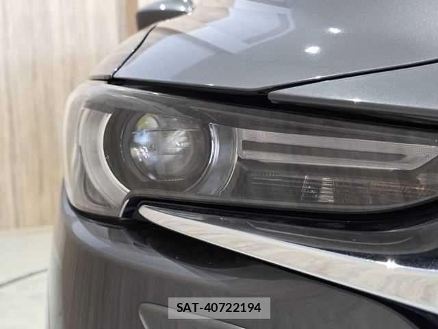 Mazda CX-8 2018-12 8207208-25