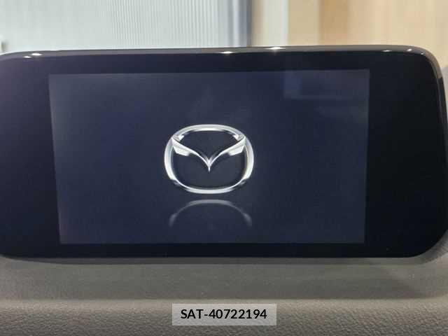 Mazda CX-8 2018-12 8207208-3