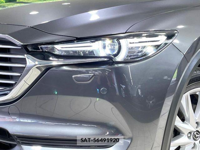 Mazda CX-8 2018-05 8207209-12