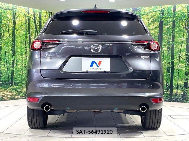 Mazda CX-8 2018-05 8207209-15