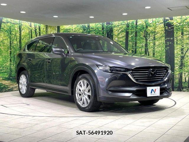 Mazda CX-8 2018-05 8207209-16