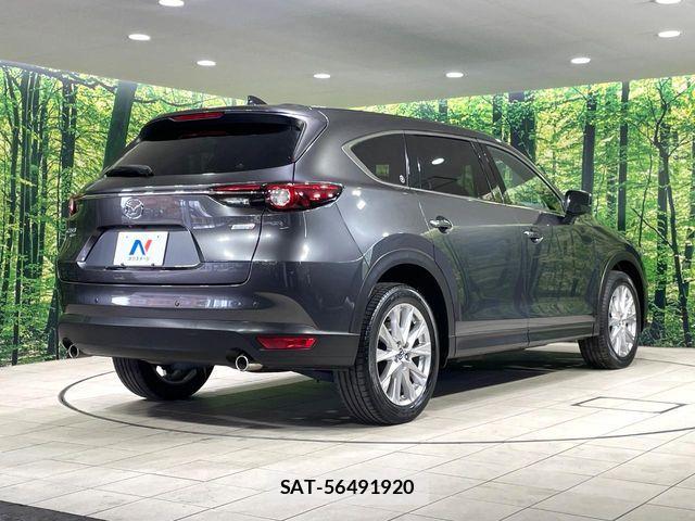 Mazda CX-8 2018-05 8207209-17