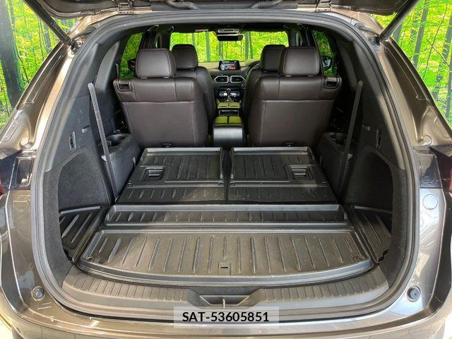 Mazda CX-8 2019-03 8207205-10