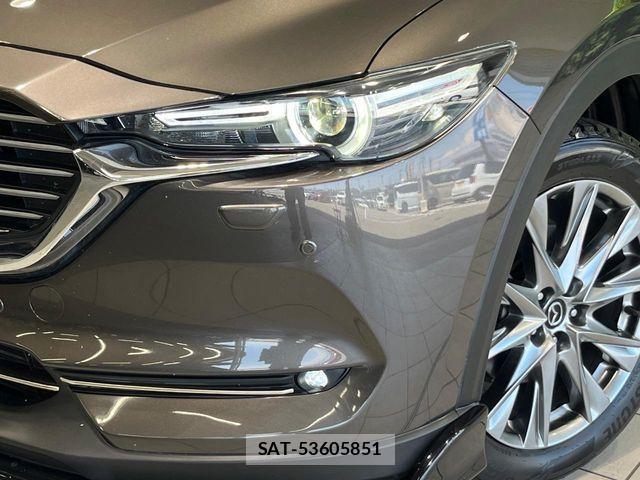 Mazda CX-8 2019-03 8207205-13