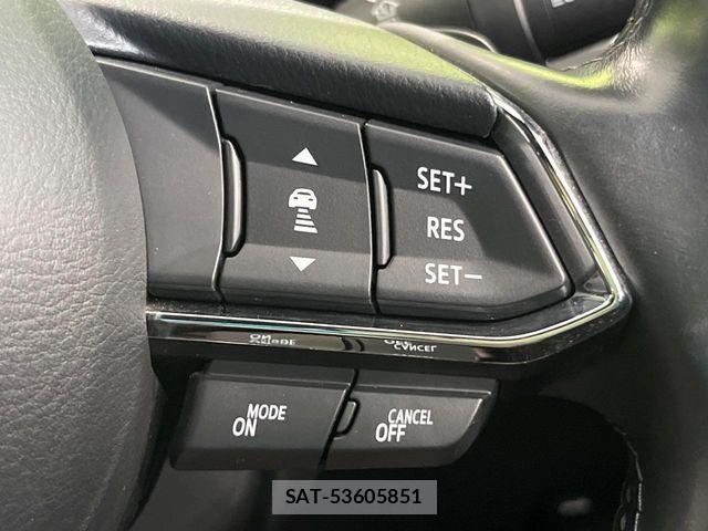 Mazda CX-8 2019-03 8207205-6