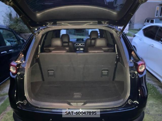 Mazda CX-8 2018-04 8229509-10
