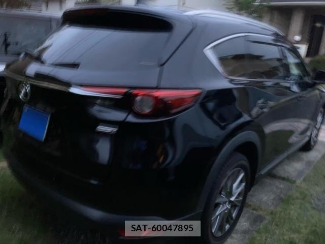 Mazda CX-8 2018-04 8229509-5
