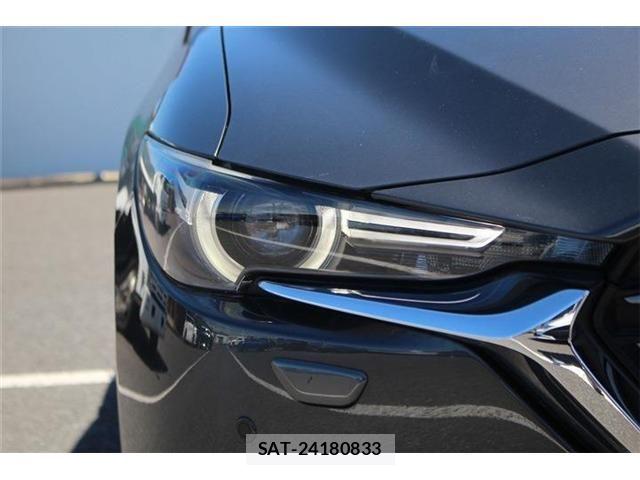 Mazda CX-8 2018-01 8245009-12