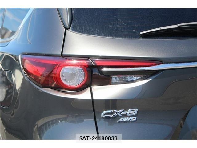 Mazda CX-8 2018-01 8245009-13