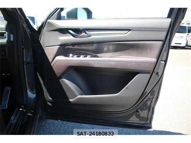 Mazda CX-8 2018-01 8245009-16