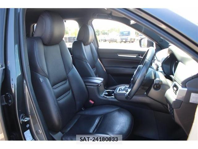 Mazda CX-8 2018-01 8245009-17
