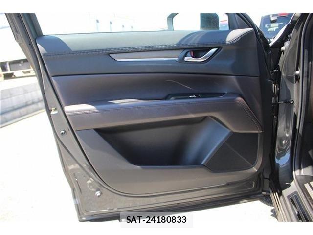 Mazda CX-8 2018-01 8245009-20
