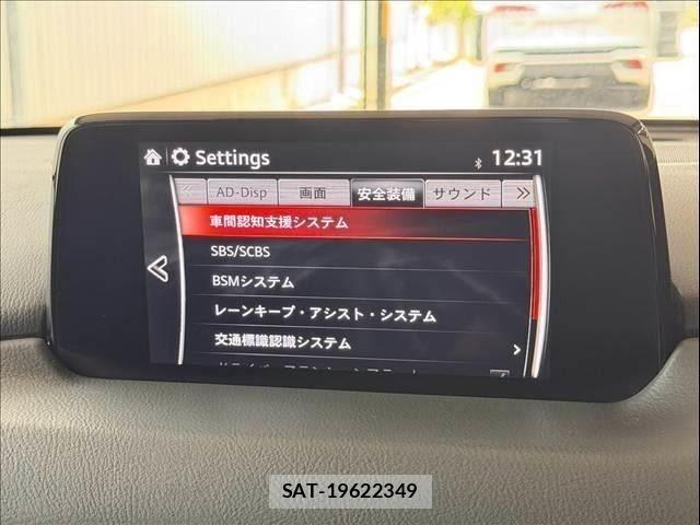 Mazda CX-8 2019-07 8335525-19