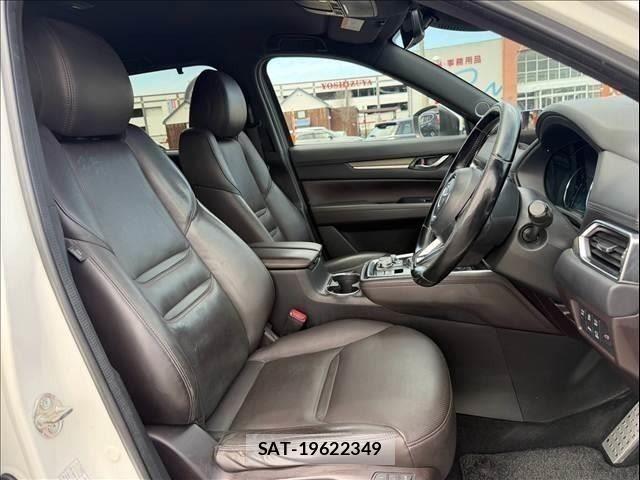 Mazda CX-8 2019-07 8335525-6
