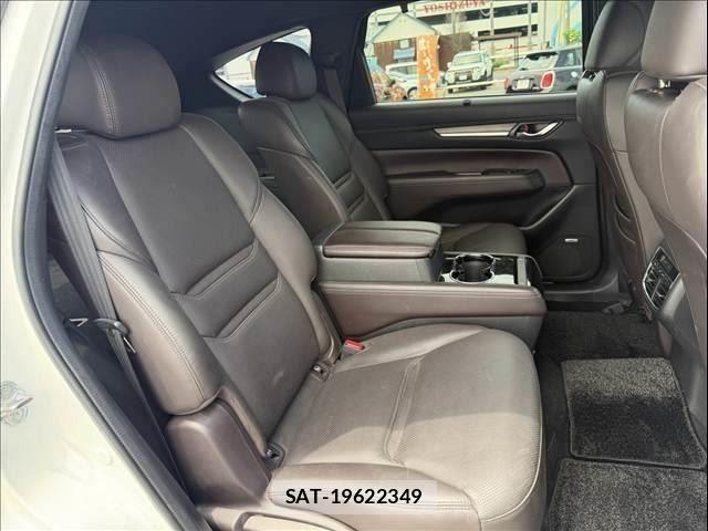 Mazda CX-8 2019-07 8335525-7