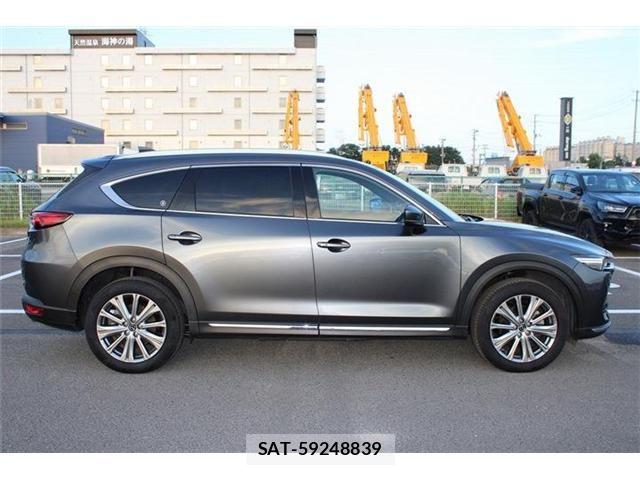 Mazda CX-8 2021-03 8335520-8