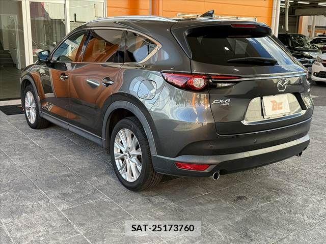 Mazda CX-8 2018-04 8354293-12