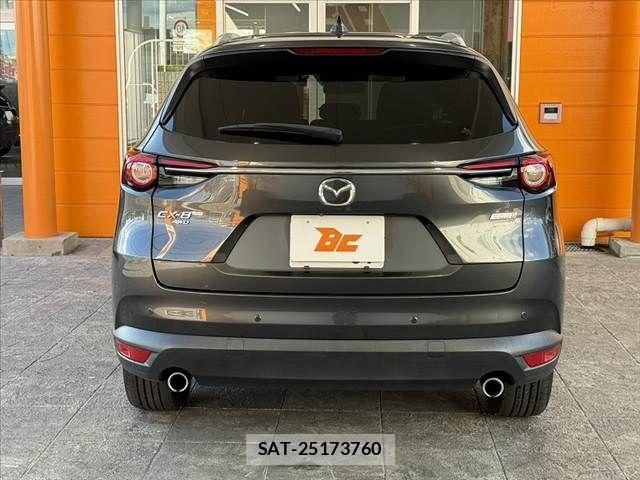 Mazda CX-8 2018-04 8354293-13
