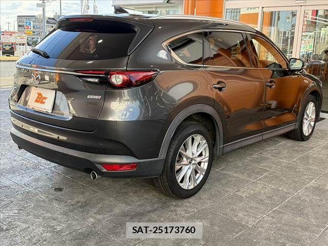 Mazda CX-8 2018-04 8354293-14