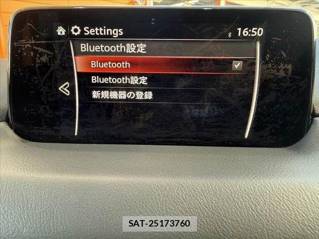 Mazda CX-8 2018-04 8354293-23