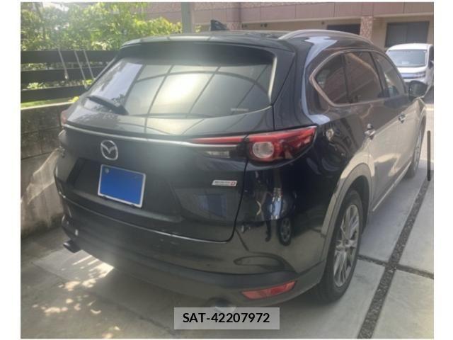 Mazda CX-8 2018-03 8365427-5