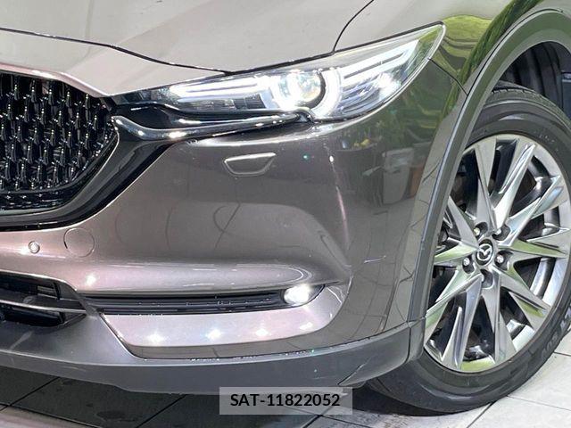 Mazda CX-8 2018-08 8365424-11