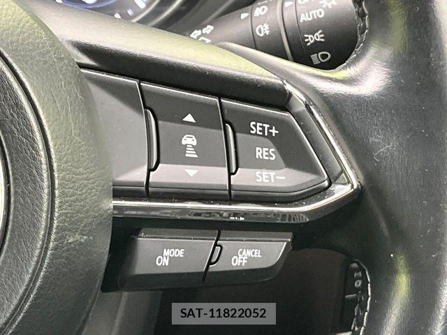 Mazda CX-8 2018-08 8365424-5
