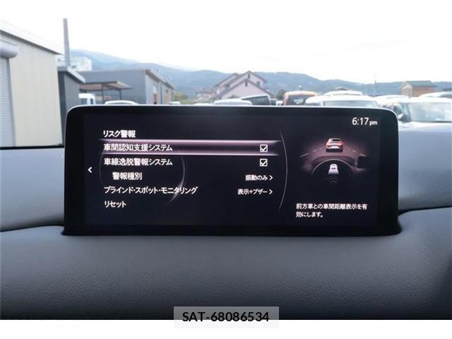 Mazda CX-8 2023-06 8365423-8