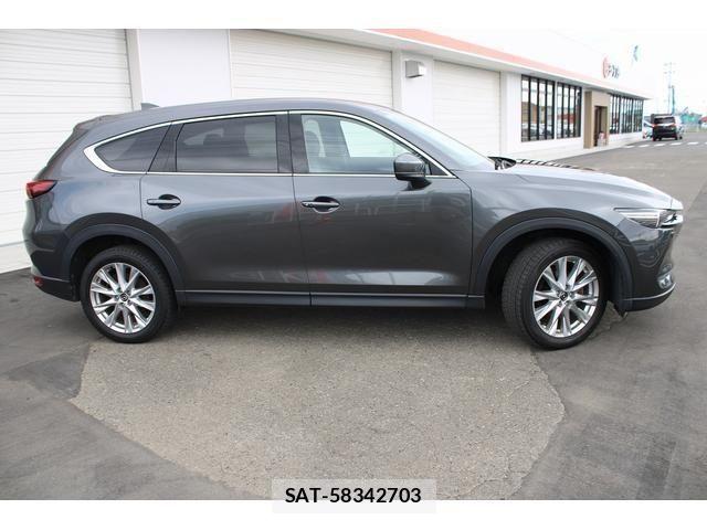 Mazda CX-8 2018-01 8365426-10