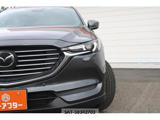 Mazda CX-8 2018-01 8365426-16