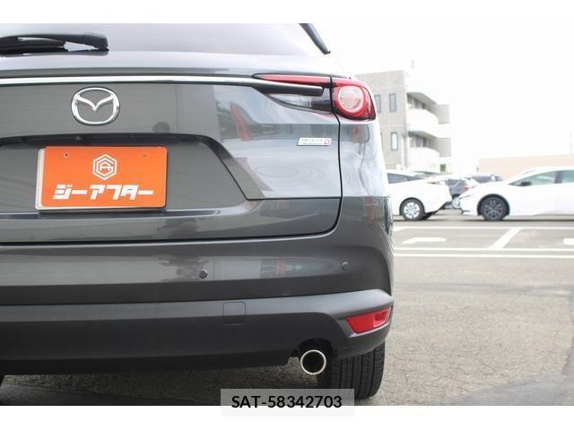 Mazda CX-8 2018-01 8365426-20