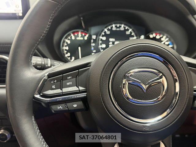 Mazda CX-8 2022-01 8411927-12