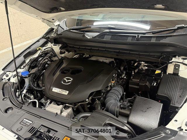 Mazda CX-8 2022-01 8411927-20