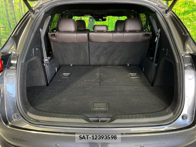 Mazda CX-8 2020-02 8438064-9