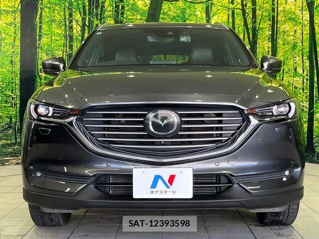 Mazda CX-8 2020-02 8438064-13