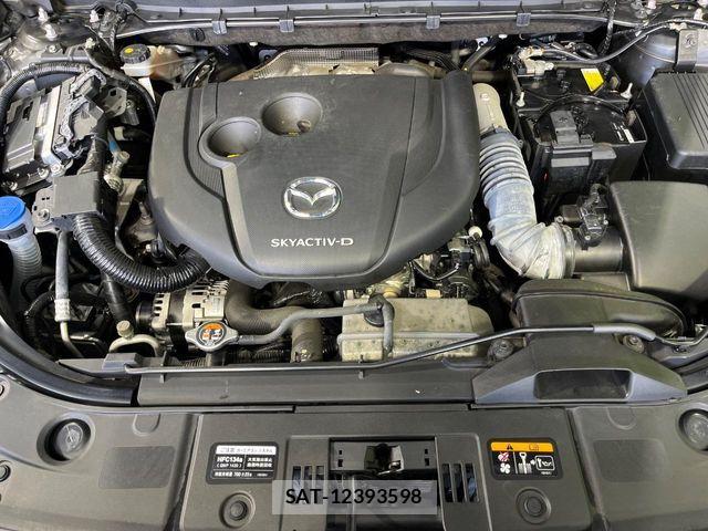 Mazda CX-8 2020-02 8438064-17