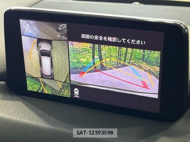 Mazda CX-8 2020-02 8438064-4