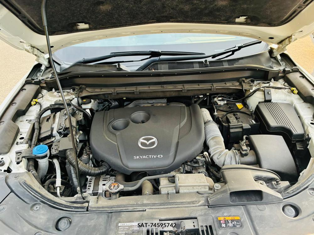 Mazda CX-8 2020-01 8344474-40