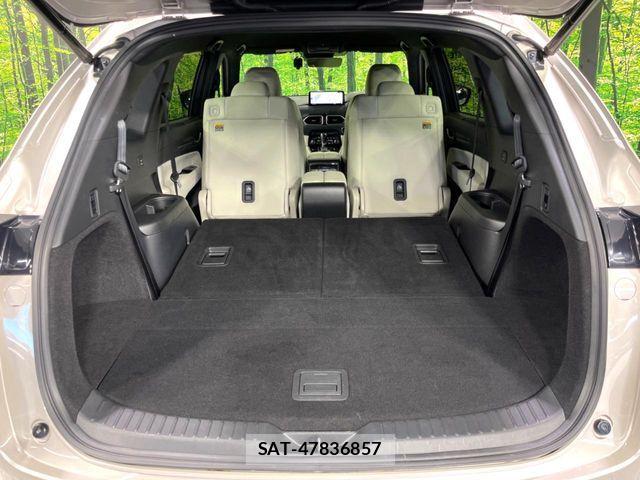 Mazda CX-8 2021-06 8524292-11