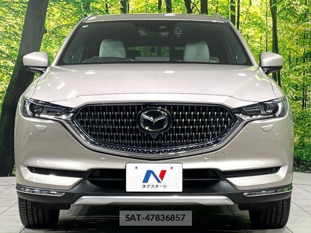 Mazda CX-8 2021-06 8524292-15