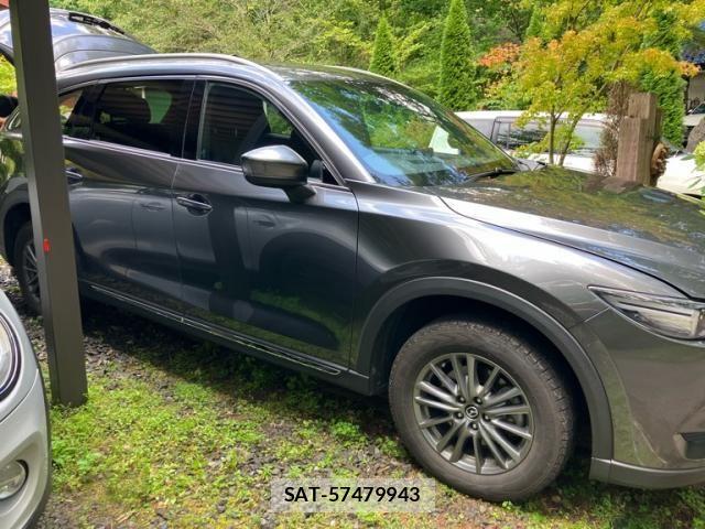 Mazda CX-8 2019-11 8561642-3