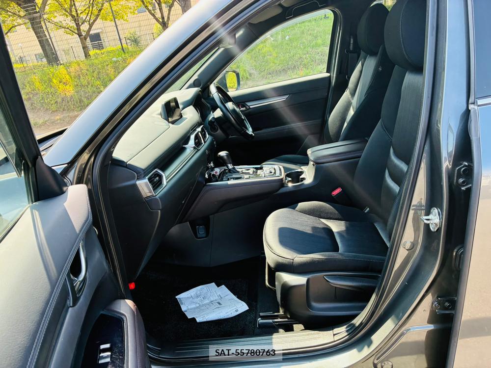 Mazda CX-8 2019-09 8499231-10